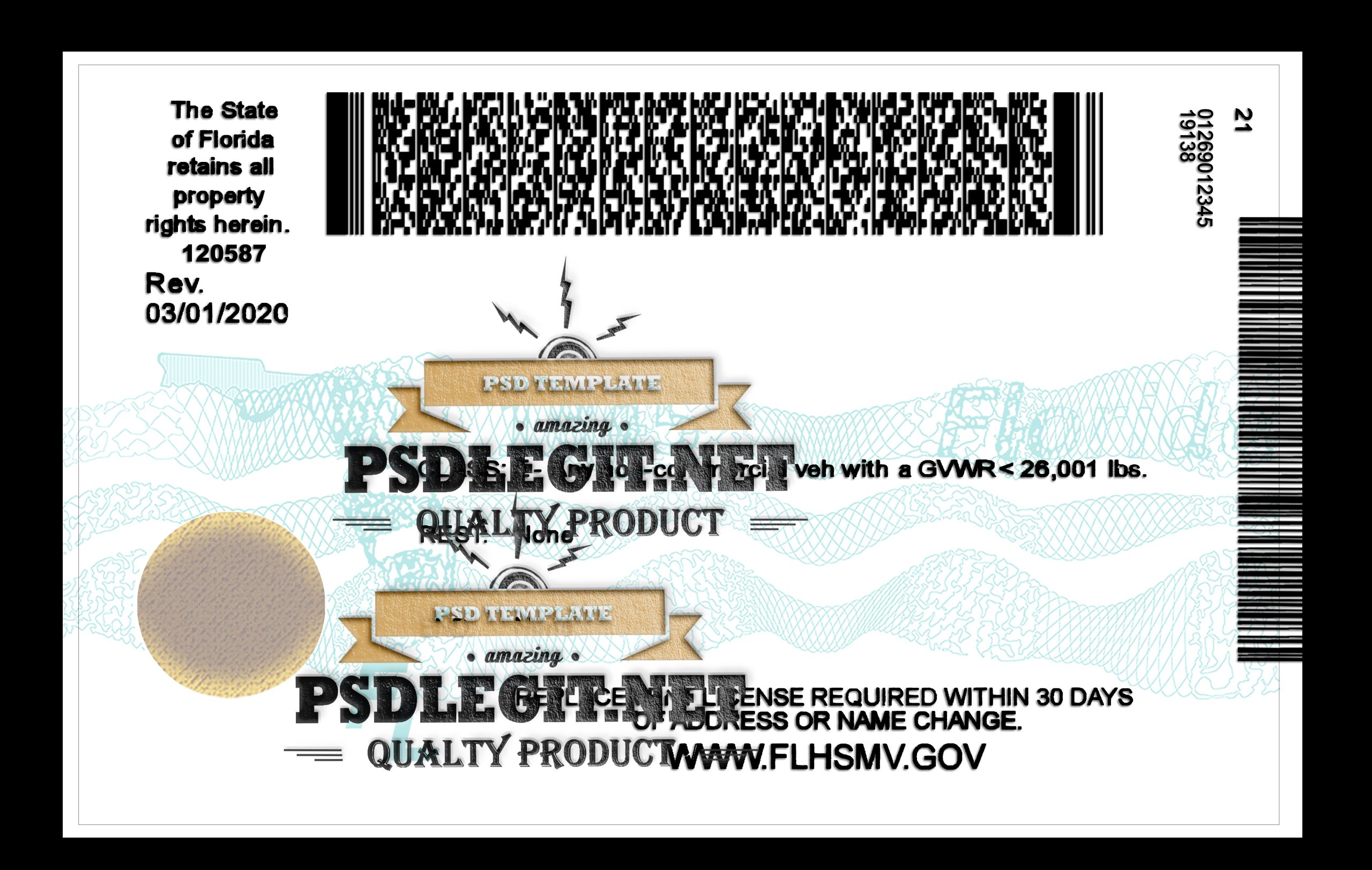Florida Driver License PSD Template 1200DPI - Image 8